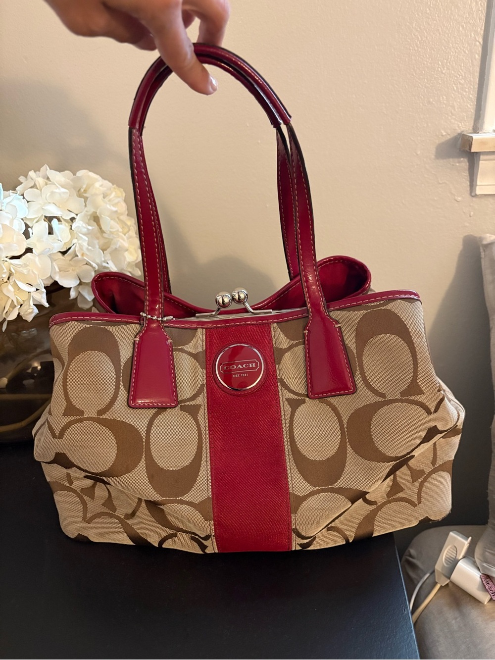 Coach Signature C Stripe Carryall